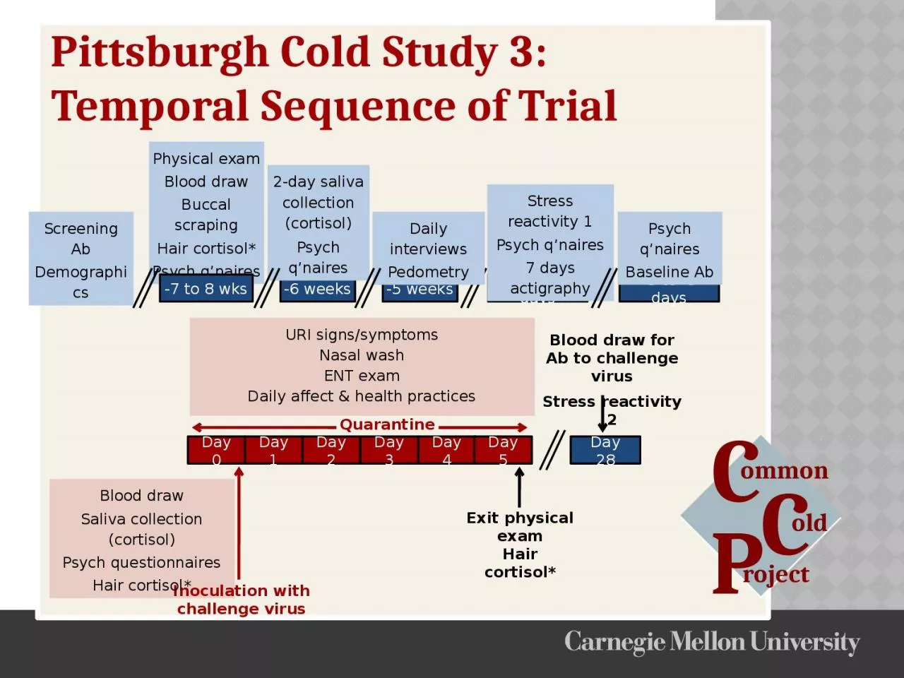 PPT-Physical exam Blood draw