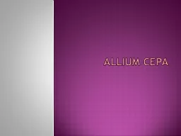 Allium cepa Introduction