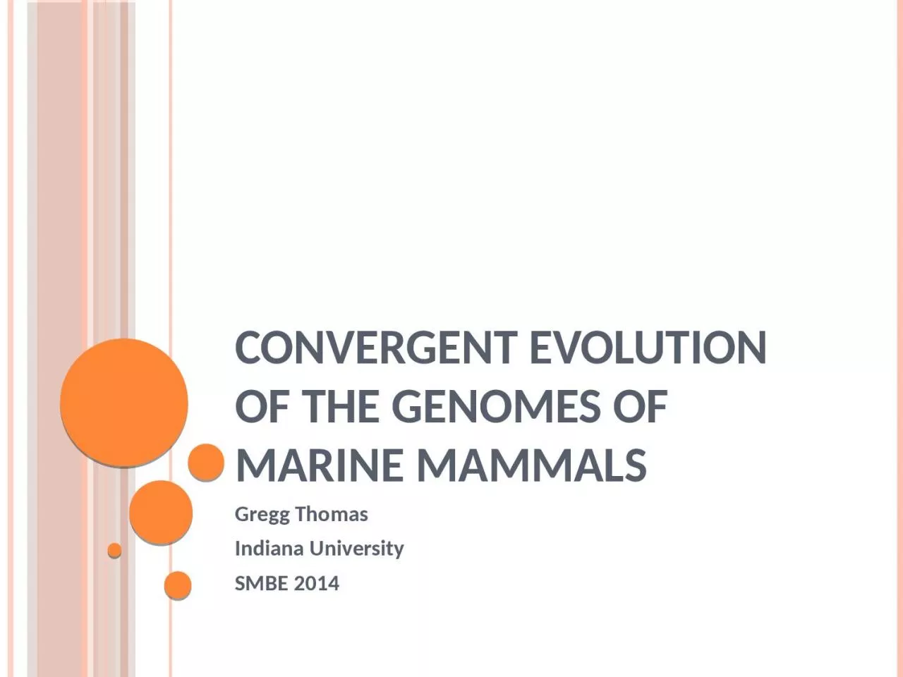 Convergent evolution of the genomes of marine mammals