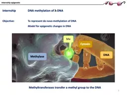 1 Internship 	 DNA  methylation of