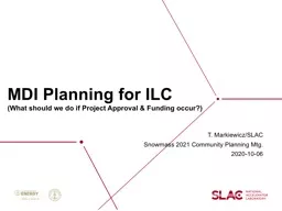 MDI Planning for ILC (What should we do if Project Approval & Funding occur?)