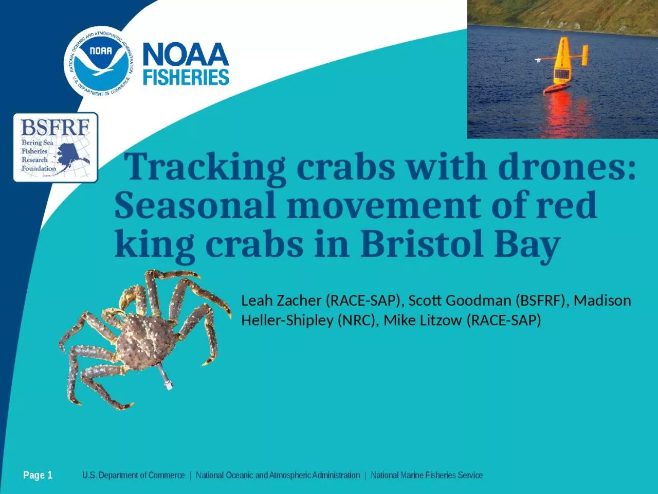 PPT-Tracking crabs with drones: