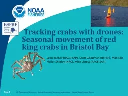 Tracking crabs with drones: