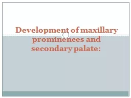 Development of maxillary prominences and secondary palate: