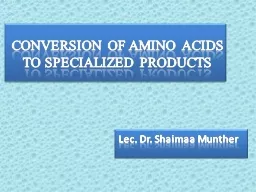 CONVERSION OF AMINO  ACIDS