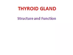 THYROID GLAND Structure and Function