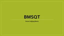 BMSQT Horse Judging Basics