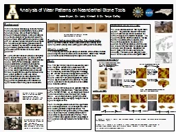 Analysis of Wear Patterns on Neanderthal Stone Tools