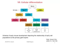 V9: Cellular differentiation - Epigenetics