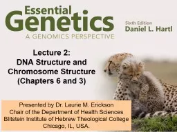 Lecture 2:  DNA Structure and Chromosome Structure
