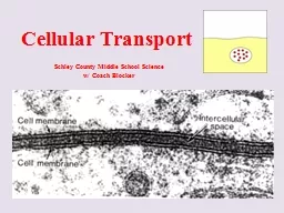 Cellular Transport S7L2.