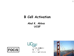 1 B  Cell Activation Abul K.