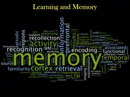 Learning and Memory Lecture Outline