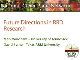 Future Directions in RRD Research