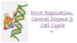 DNA Replication & Central Dogma