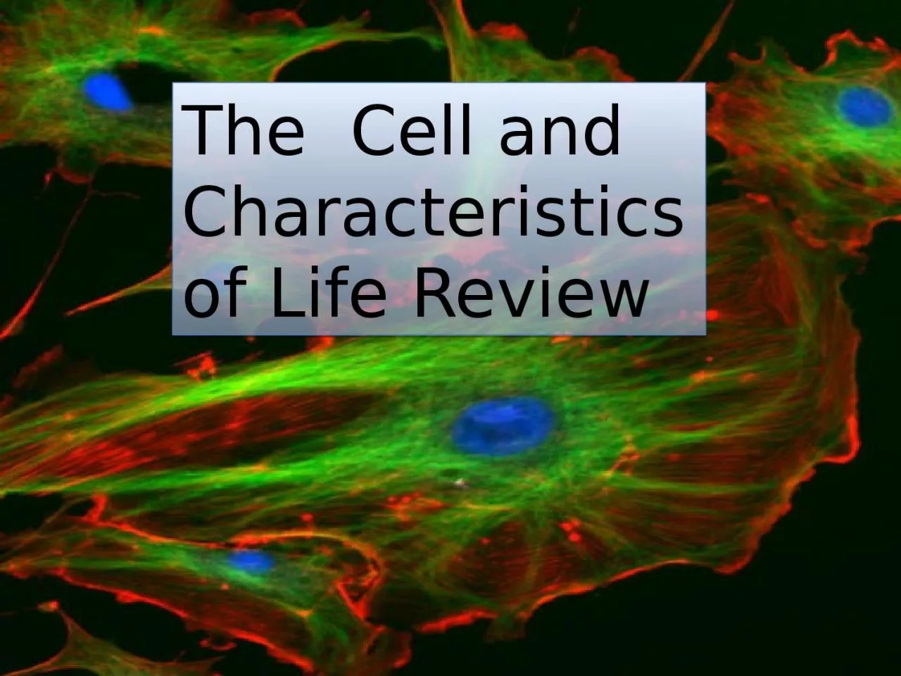 The  Cell and Characteristics of Life Review