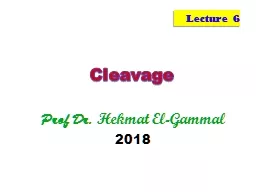 Cleavage Prof Dr.  Hekmat