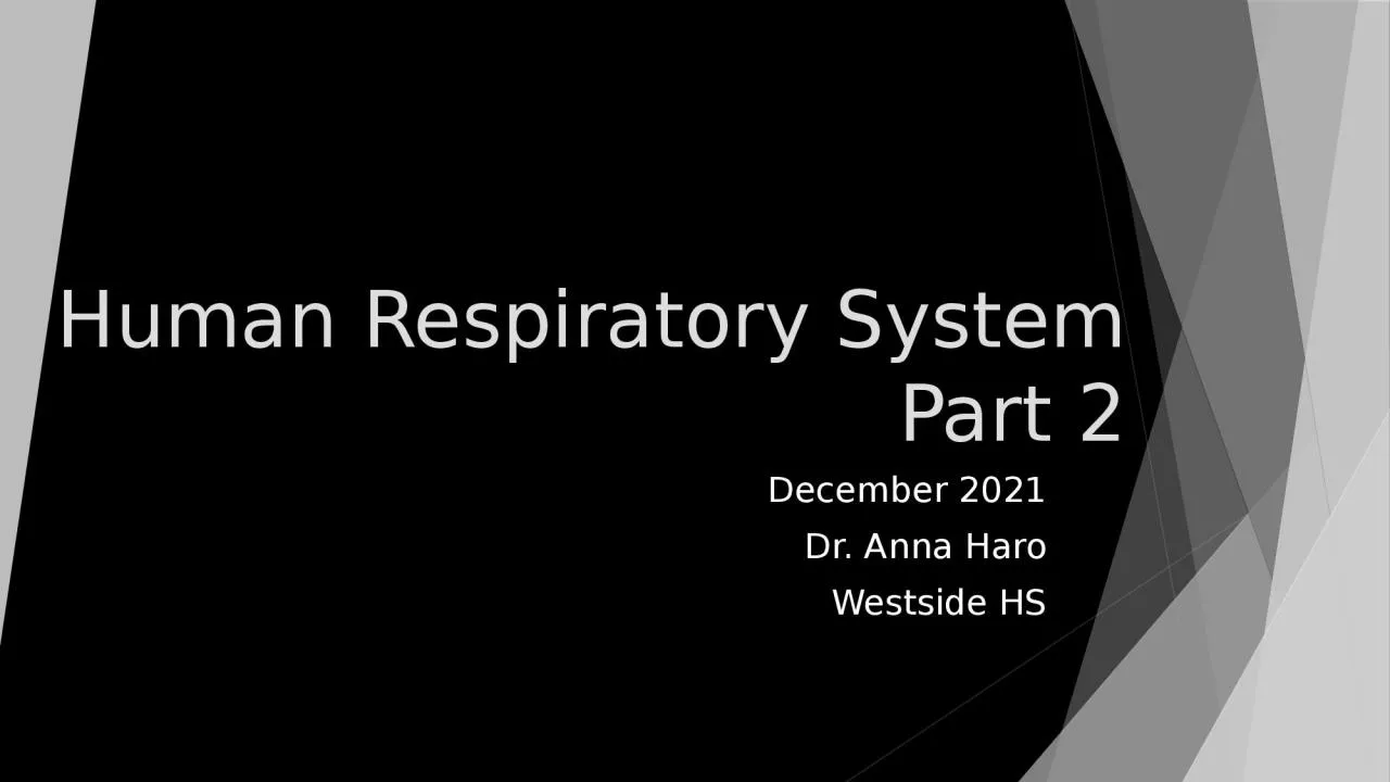 Human Respiratory System