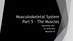 Musculoskeletal System Part 6 – The Action Potential (