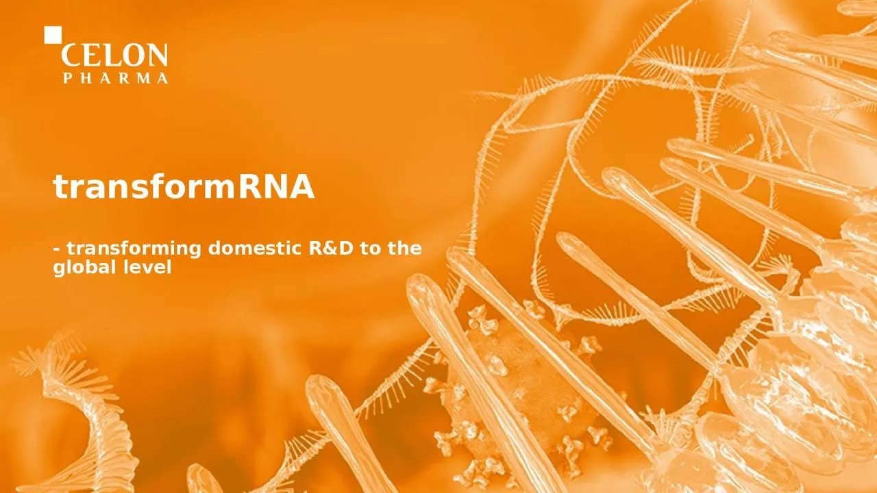 transformRNA -  transforming