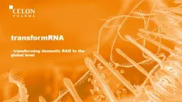 transformRNA -  transforming