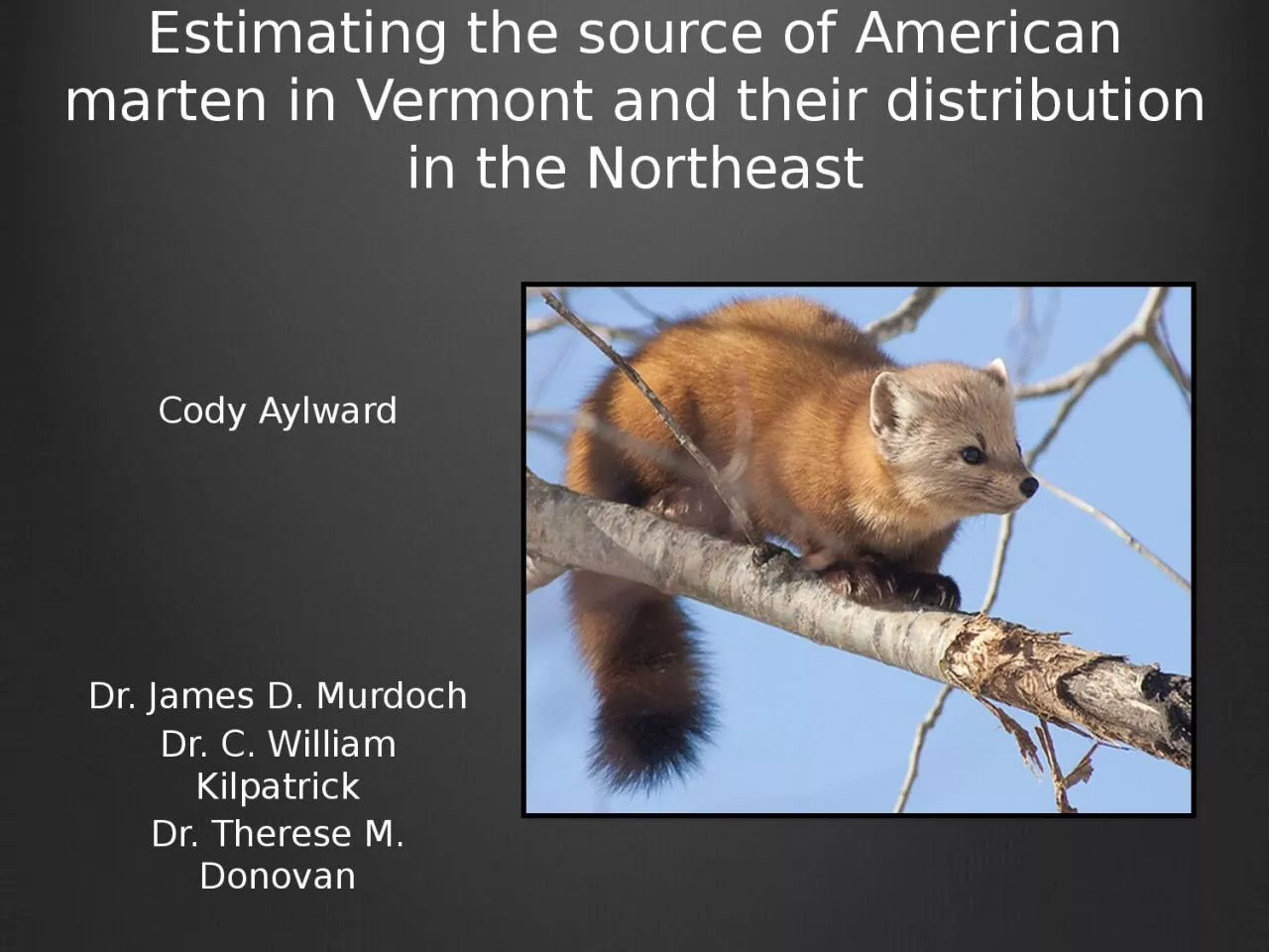 Estimating the source of American marten in Vermont and their distribution in the Northeast