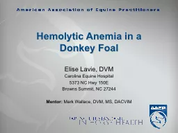 Hemolytic Anemia in a Donkey Foal