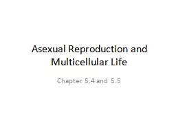 Asexual Reproduction  and Multicellular