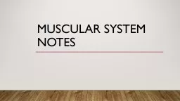 Muscular System Notes Muscle Facts