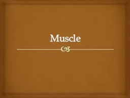 Muscle Define  myogenesis