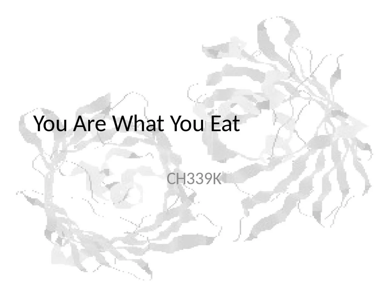 You Are What You Eat CH339K