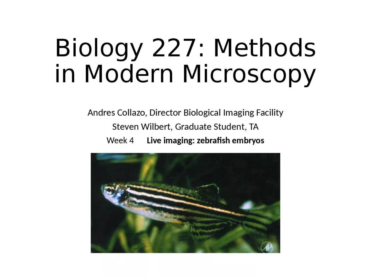 PPT-Biology 227: Methods in Modern Microscopy