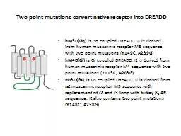 Two point mutations convert native receptor into DREADD