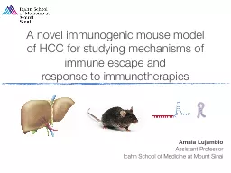 A novel immunogenic mouse model of