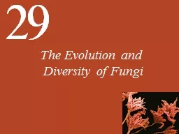 The Evolution and  Diversity of Fungi