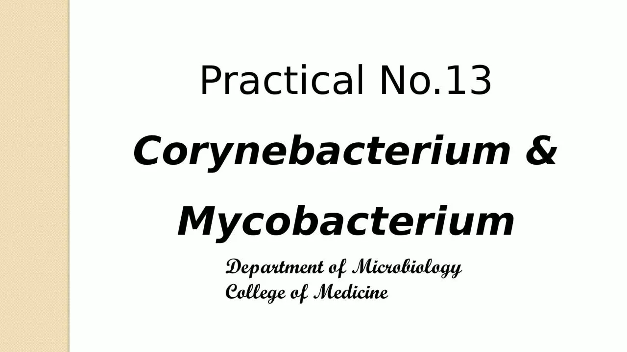 Practical No.13 Corynebacterium
