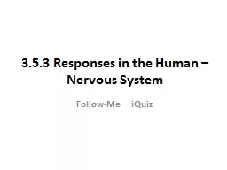 3.5.3 Responses  in the Human – Nervous System