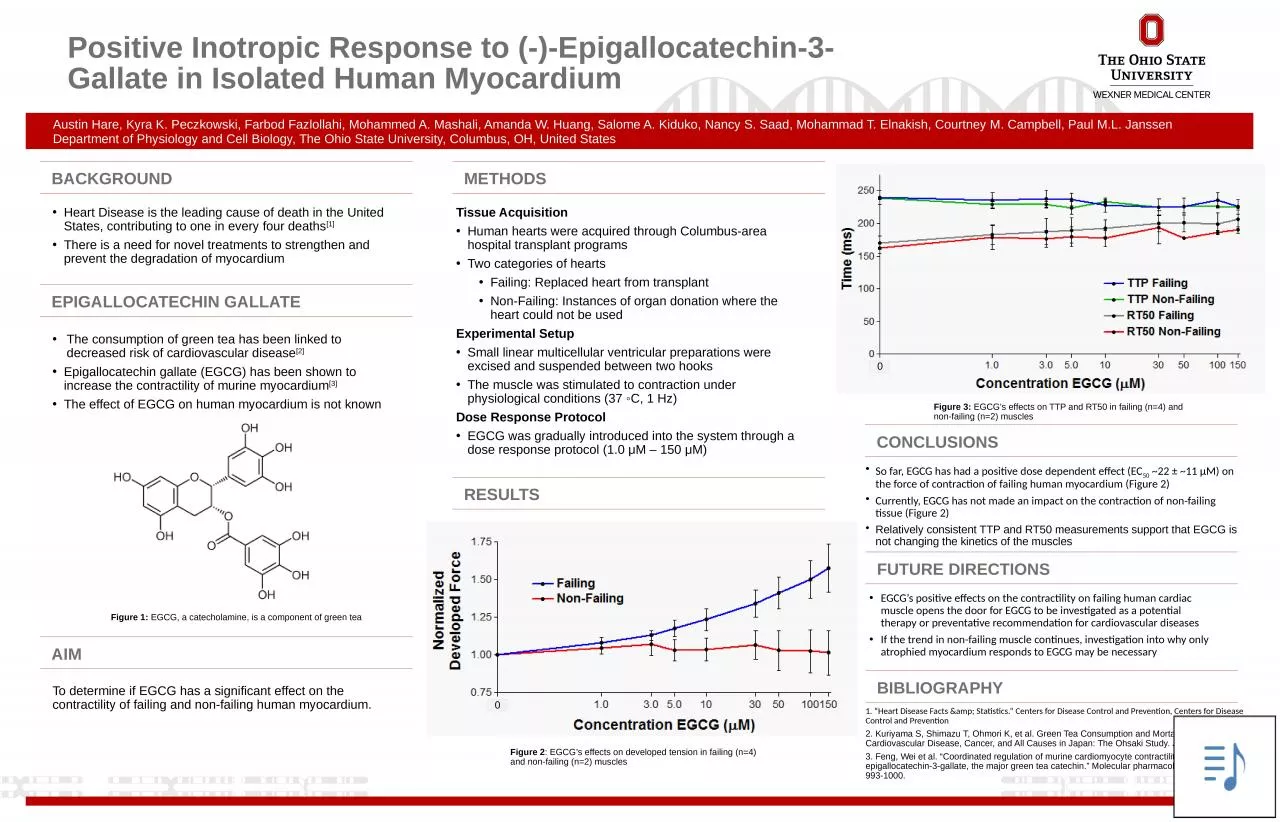 Positive Inotropic Response to (-)-Epigallocatechin-3-Gallate in Isolated Human Myocardium