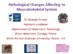 Pathological Changes Affecting to Musculoskeletal System