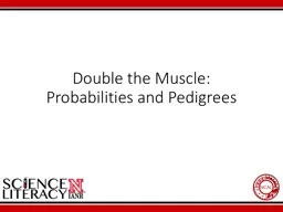 Double the Muscle:  Probabilities and Pedigrees