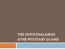 THE HYPOTHALAMUS &THE PITUITARY GLAND