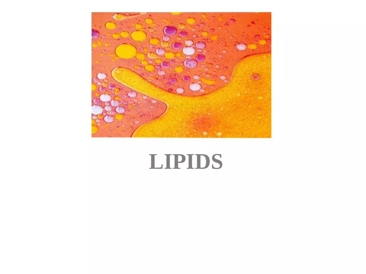 LIPIDS By  Henry Wormser, Ph.D.