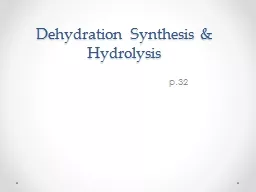 Dehydration Synthesis & Hydrolysis