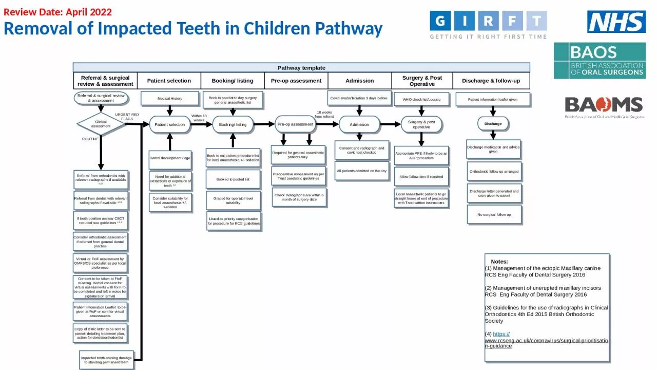 Referral & surgical review & assessment