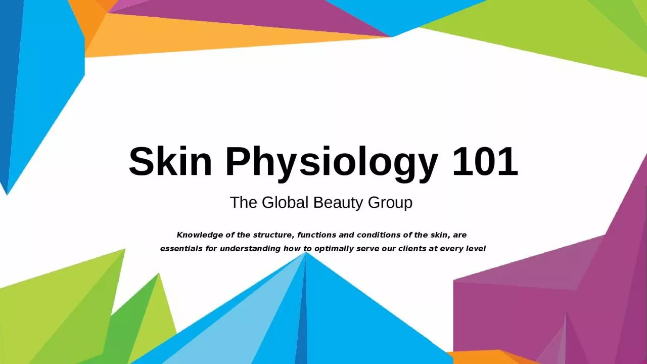 Skin Physiology 101 The Global Beauty Group