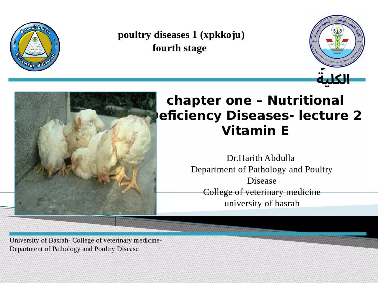 PPT-poultry diseases 1 ( xpkkoju