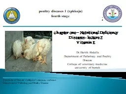 poultry diseases 1  ( xpkkoju