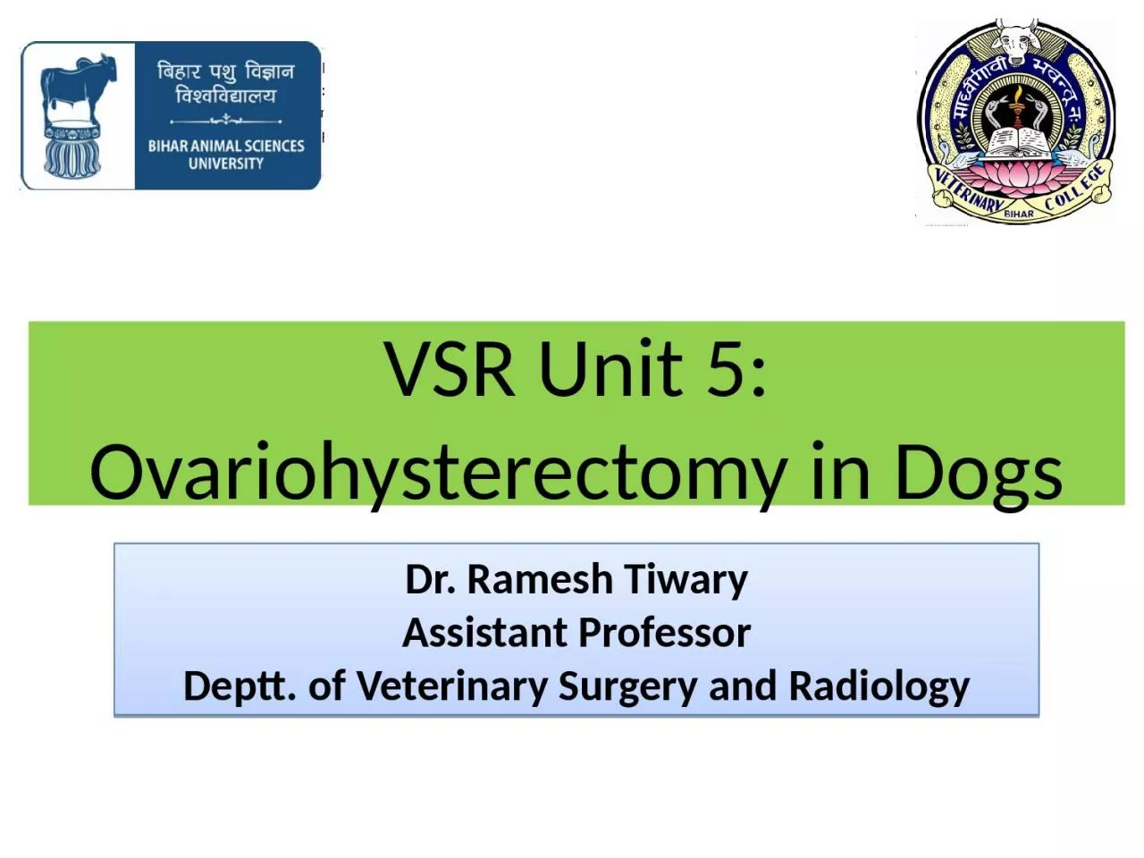 VSR Unit 5:  Ovariohysterectomy