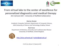 From virtual labs to the center of excellence for personalized diagnostics and medical therapy