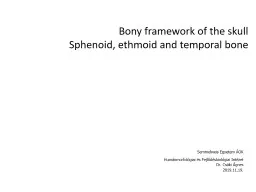 Bony   framework  of  the